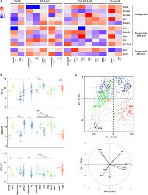 BCL2-Family Dysregulation in B-Cell Malignancies: From Gene Expression Regulation to a Targeted Therapy Biomarker